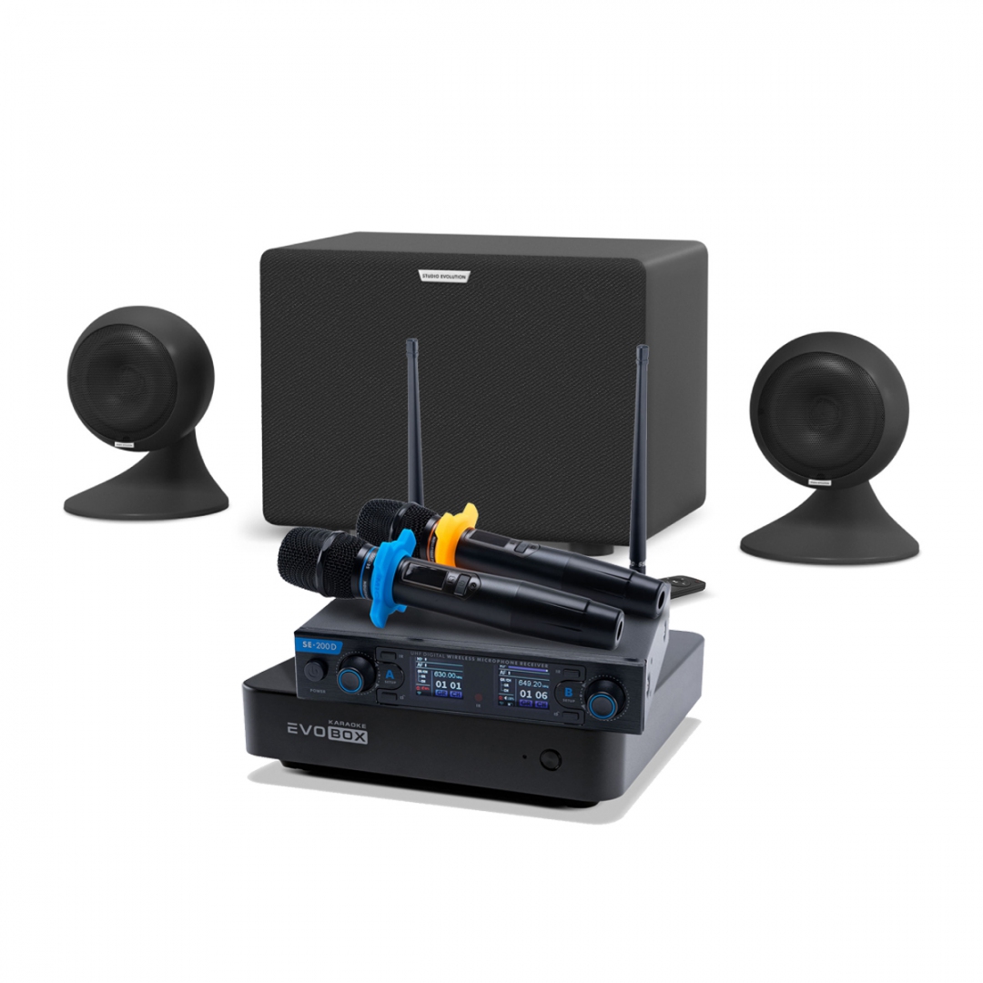караоке-комплект EVOBOX + EvoSound Sphere 2.1 в Ростовской области