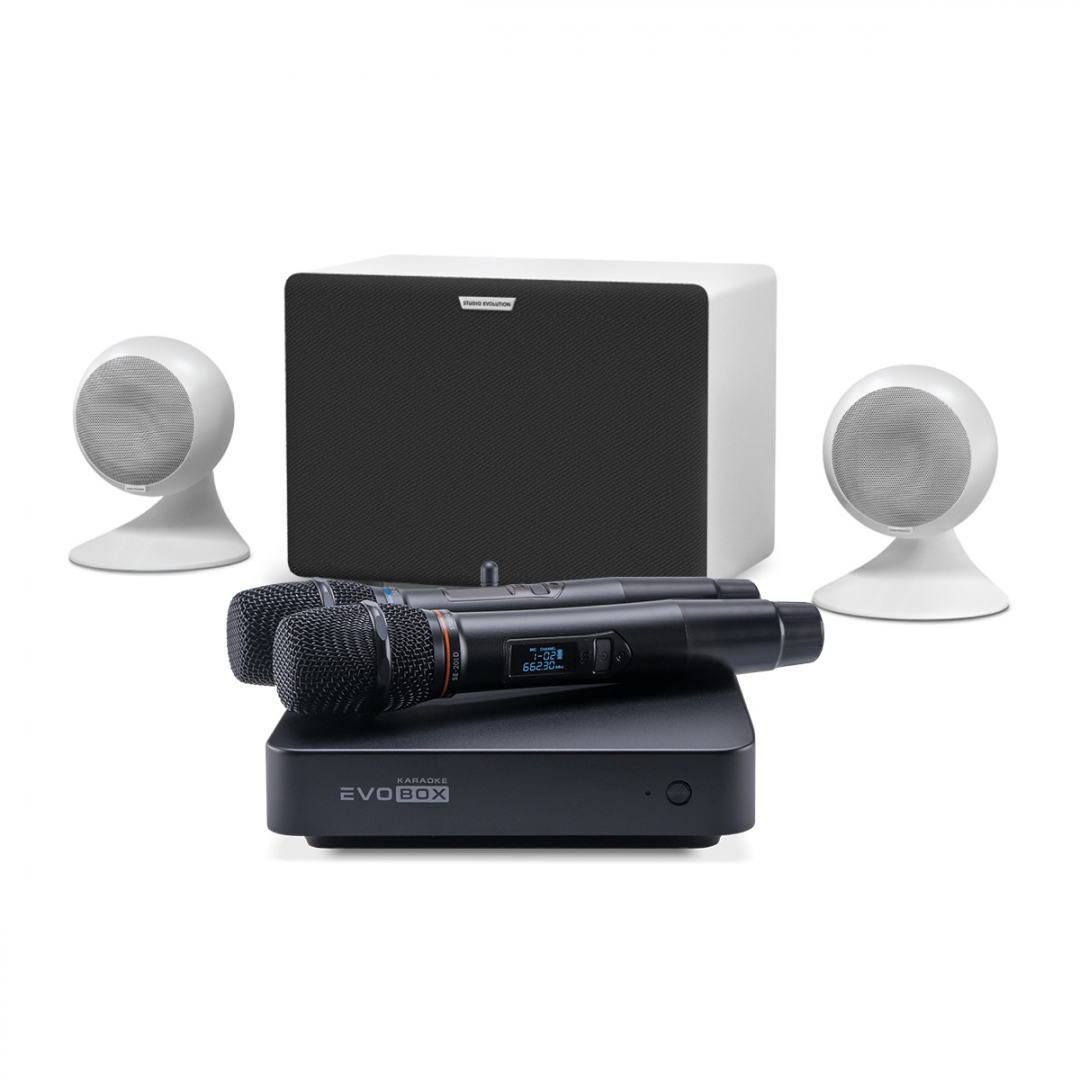 караоке-комплект EVOBOX Classic + EvoSound Sphere 2.1 в Ростовской области