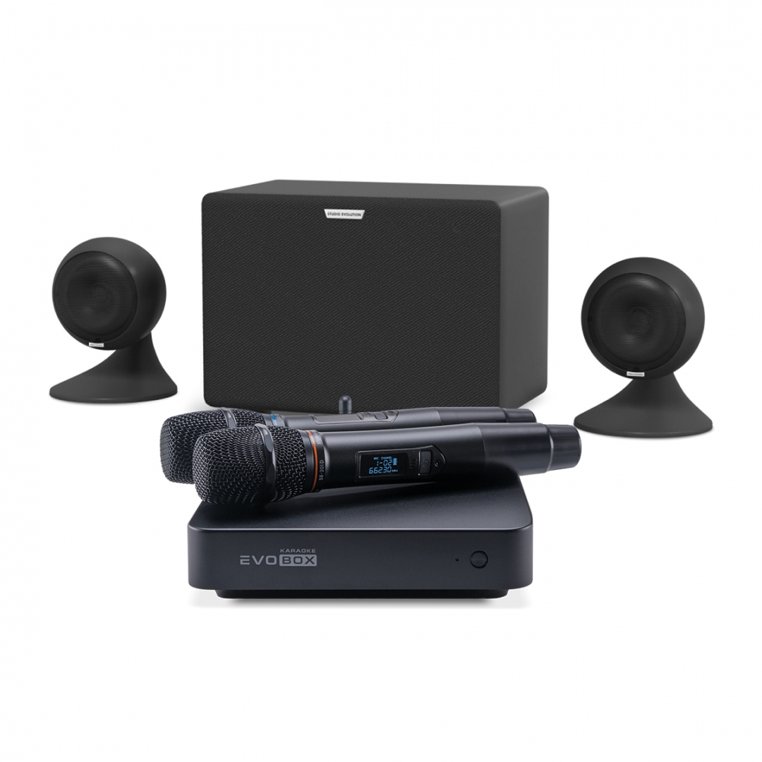 караоке-комплект EVOBOX Plus + EvoSound Sphere 2.1 в Ростовской области