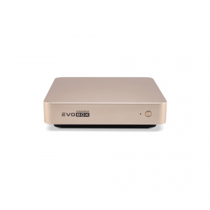 EVOBOX с микрофонами в Ростовской области