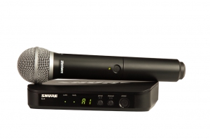 SHURE BLX24E/PG58 M17 вокальная радиосистема в Ростовской области
